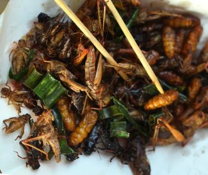 Silkworm beetle grasshopper mixture roasted with onion Stock Photos