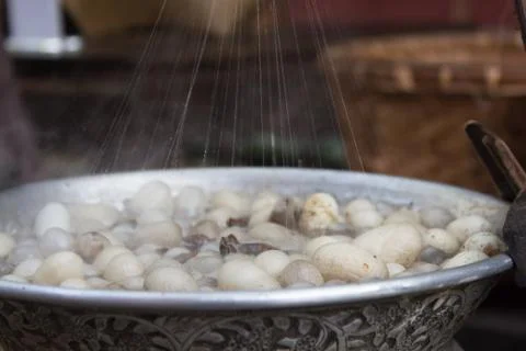Silkworm boil , silk string processing Stock Photos