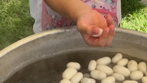 Silkworm cocoon in cauldron Stock Footage 251827137