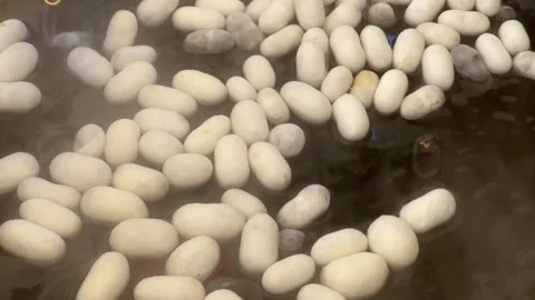 Silkworm cocoon in cauldron Video stock 251827214
