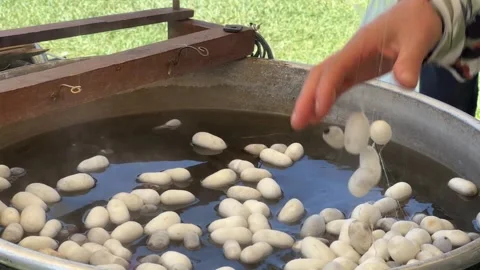 Silkworm cocoon in cauldron Stock Footage 251827411