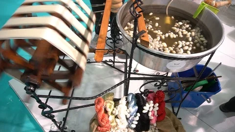 Silkworm Cocoon On Silk Mill. Silk-Reeling Establishment Stock Footage 105837411