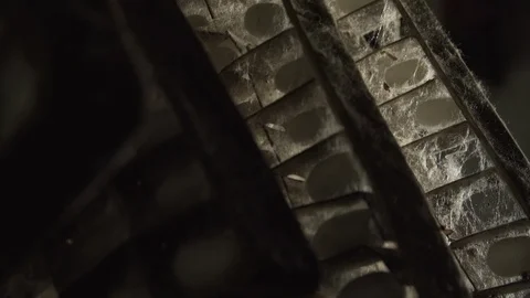 Silkworm Cocoons In Crate.05 Stock Footage 121564781