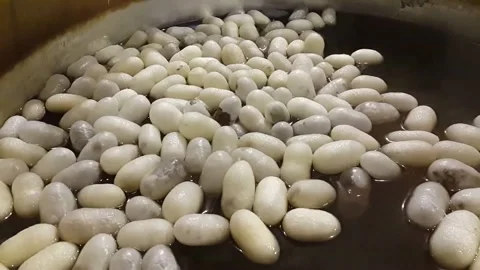 Silkworm cocoons inside the hot water boiler 스톡 동영상 145701114