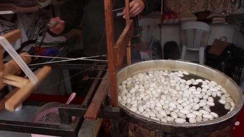 Silkworm Cocoons in the Silk Producing Artisan Stock Footage 83521273