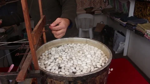Silkworm Cocoons in the Silk Producing Artisan 스톡 동영상 83521306