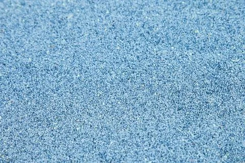 Silkworm eggs Stock Photos