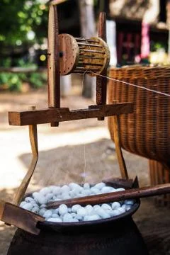 Silkworm Stock Photos