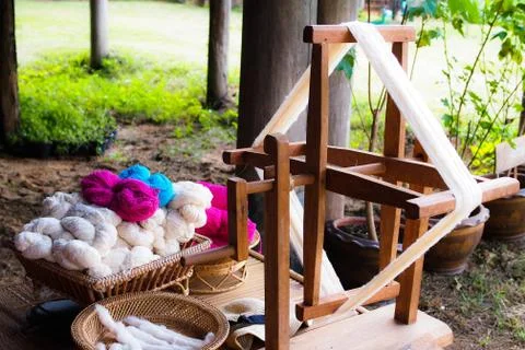 Silkworm Stock Photos