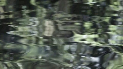 Silky freshwater stream Stock Footage 86498714