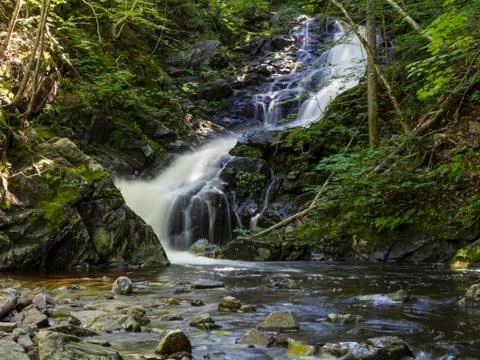 Silky Macintosh Brook Stock Photos