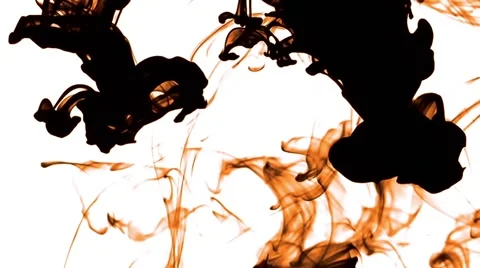 Silky Smoke on White Background Stock Footage 54689219