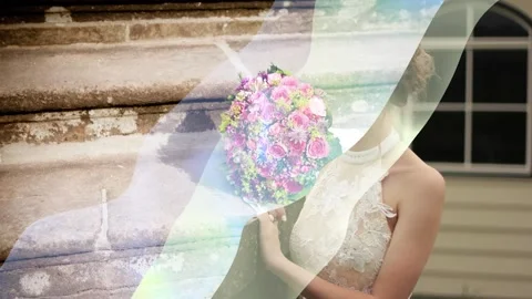 Silky Smooth Transitions Stock After Effects