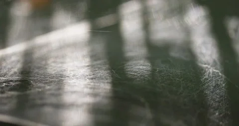Silky spider web smoothly blown in the wind Stock Footage 166384274