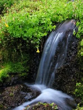 Silky spring Stock Photos