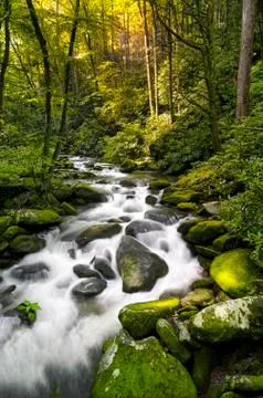 Silky Stream Stock Photos