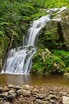 Silky Wedge Brook Waterfall Stock Photos