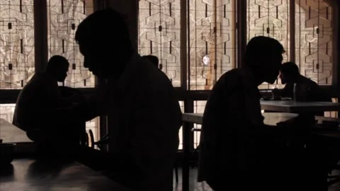 Sillehoute 動画素材 169062899