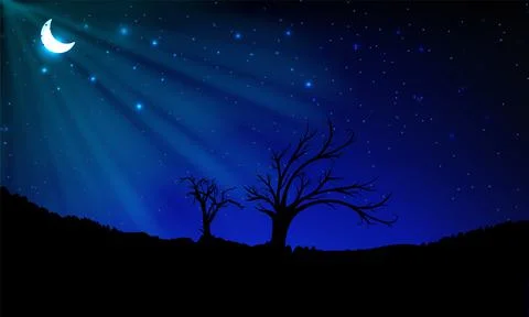 Sillhouette of tree in Starry night background Stock Illustration