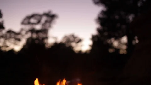 Sillhouetted trees behind a bright fire and in front of a bright sky Stock Footage 90821295