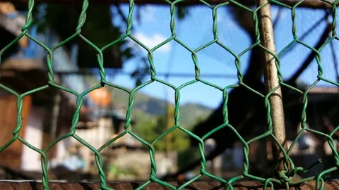 Sillouhette of caged Laotian flying squirrel, furry tail, face, bars, movement Vídeos de archivo 80922616