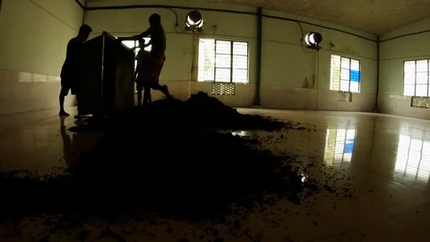 Silluets of workers unload tea from wheelbarrow on tiled floor woman in saree wi Stock Footage 98834920