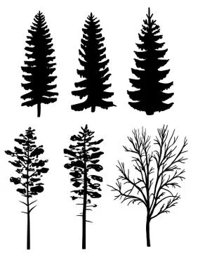 Silluettes of forest trees Illustrazione stock