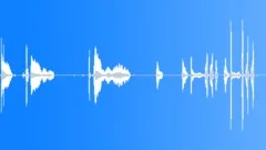 Silly Clown Making NoisesSound Effect