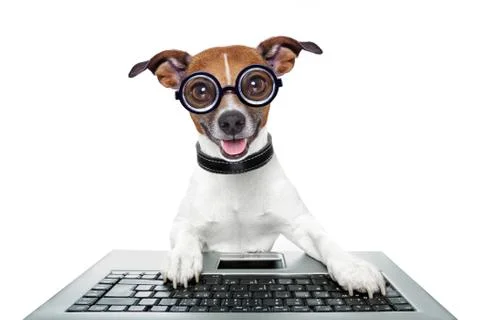 Silly computer dog Stock Illustration