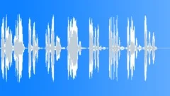 Silly Funny Comic Laugh Sound Effect