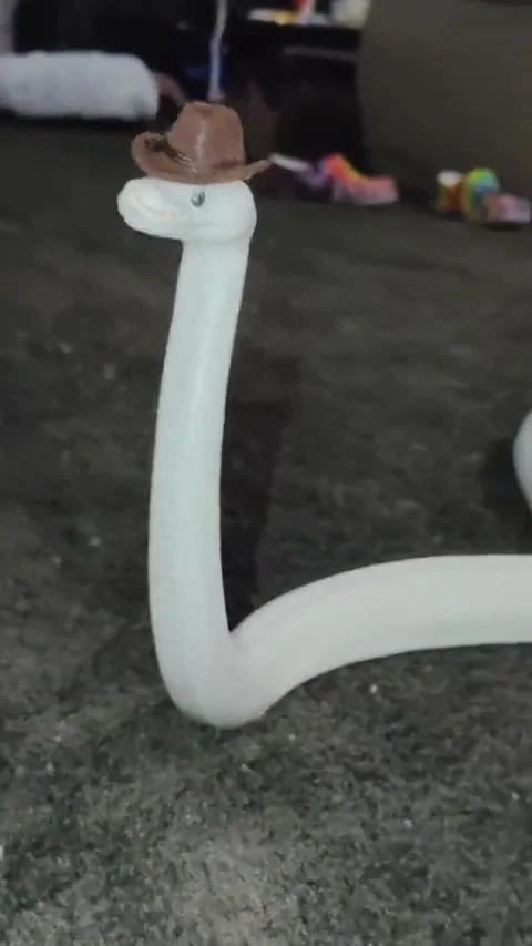 Silly Snake In A Tiny Cowboy Hat, Winslow, Arizona, USA Stock Footage 296485708