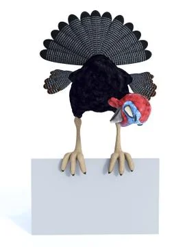 Silly toon turkey sitting on blank sign. Illustrazione stock