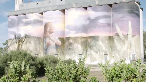 Silo art in Kimba SA Stock Footage 245593430