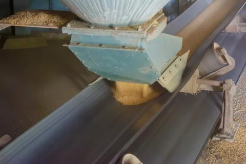 Silo elevator conveyor system for grain, conveyor belt of silo. Foto stock