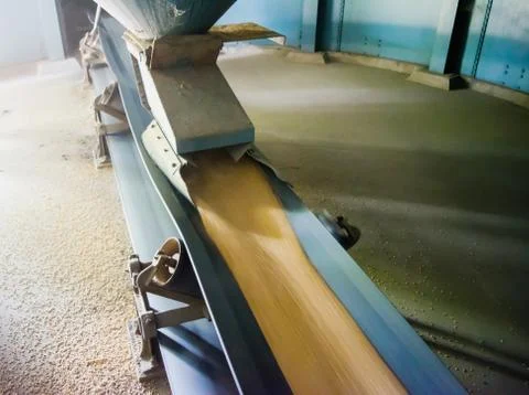 Silo elevator conveyor system for grain, conveyor belt of silo. Stock Photos