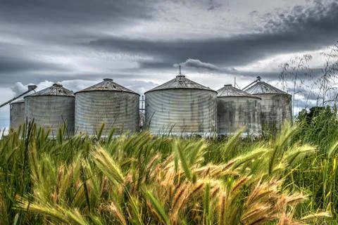 Silos Stock Photos