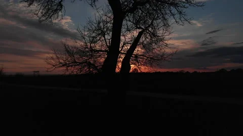 Silouette of a tree during sunset Stock Footage 150913015