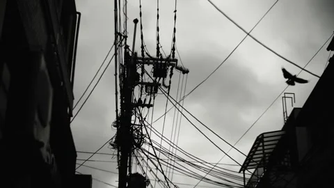 Silouhette shot of crows flying between electric poles in the streets of Kyoto Stock Footage 299957699