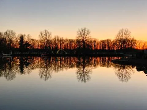 Silouhette of trees reflecting off a pond Stock Photos