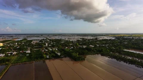 Silt-rich fields preparing for a new rice crop Vidéo 339998268