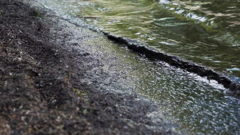 Silty dirty water waves splashing on lake river pond bank (4k 30p) Stock Footage 156837201