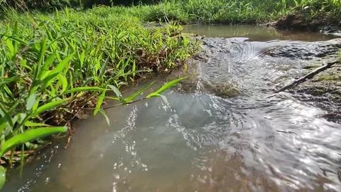 Silty stream trickle over rock, grassy border, sparkling light. Stock Footage 325824787