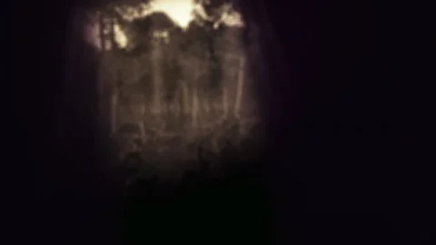 Siluet Credit Modèle After Effects