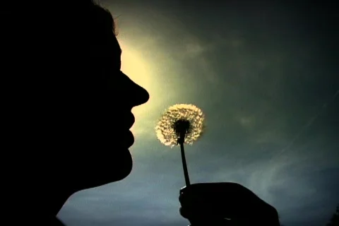 Siluet face Stock Footage 353962