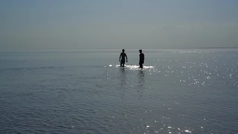 Siluettes Enter The Water Video stock 90805818