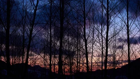 Silulets of trees with a moving background, clouds in motion, nice colors after Stock-Footage 167839043