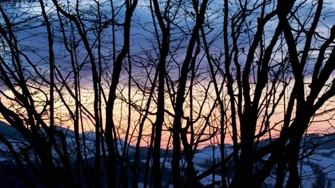 Silulets of trees with a moving background, clouds in motion, nice colors after 動画素材 168672386