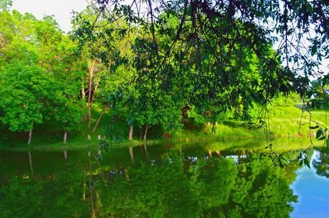 Silvan lake in the summer. Stock Photos