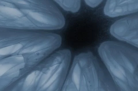 Silver abstract background Stock Photos