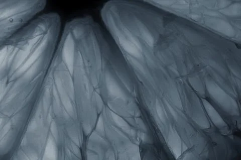 Silver abstract background Stock Photos